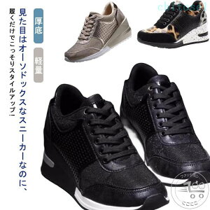 �w��2�_��5%OFF �^���C ����V���[�Y �V�[�N���b�g�V���[�Y �X�j�[�J�[ ����X�j�[�J�[ �E�F�b�W�X�j�[�J�[ �C���q�[���X�j�[�J�[ phoebehou ���f�B�[�X �y�� �ʋC�����Q ���r �w�L�� ������� 