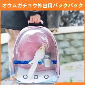 【期間限定5％OFFクーポン】鳥用 リュック お出かけ 外出 通気 持ち運び便利 止まり木付き 組み立て簡単ゾンチーケージ バッグ インコ 鳥 かご 移動 ペット オウム 病院 ペット用品