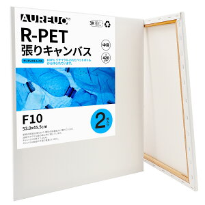 AUREUO R-PET LoX - 100%TCNvX`bN{g - ɗD ϋv̍ v̉ Gp |pGn G p ʉEGEANp