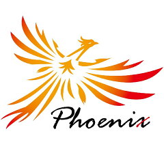 Phoenix ギターアクセサリー専門店