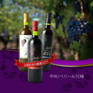 _SUPERZ[CPzz/ v~AW[X 3{Zbg  bB x[A 3 100Xg[gʏ` 720ml 3{ Z Ԃǂ RY  Rʎ R Y   