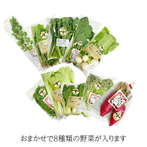 _N[|zz^t@[ L@ ܂ 8i5{`12{܂Ŕ\j n R kms 쒬 Ǝ Bt@[ yY Ε  ̓ 