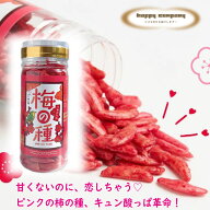 ＼割引クーポン配布／梅の種 100g 1本 柿の種 ピーナッツなし 梅味 うめ菓子 駄菓子 スナック菓子 罰ゲー…