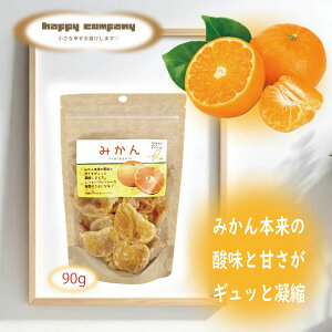 _N[|zz^hCt[c ݂ 90g 1 e  `bNtpbN ܓ gїp t[c Z~hC _CGbg ^  Rrj ͂  ʉَq m