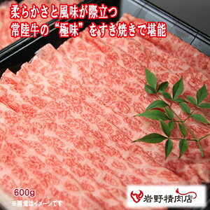  _N[|zz^ OڌI 헤 ɖ  ~ Ă 600g ᖡ Ⓚ uh    ~ 쐸X R yY Ε  ̓ Mtg 
