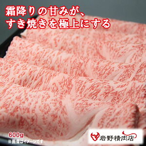 _SUPERZ[CPzz/ OڌI 헤 ɖ [X Ă 600g ᖡ Ⓚ uh    ~ 쐸X R yY Ε  ̓ Mtg v