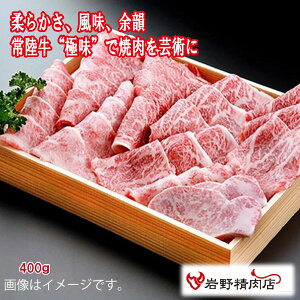 _N[|zz^ OڌI 헤 ɖ ē ~ 400g ᖡ Ⓚ uh    ~ 쐸X R yY Ε  ̓ Mtg v[