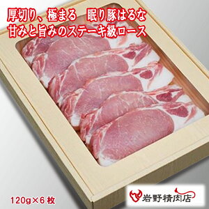 _N[|zz^ Xn ؂͂  120g 6 QnY [XXe[L Jc BBQ IĂ |[N\e[ ĂƂ uh ͂ȃ|[N Y Âg Ⓚ ^
