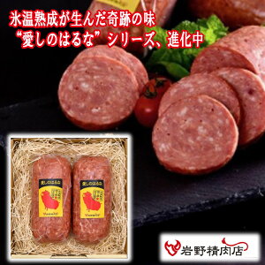 _N[|zz^Xn ؂͂ {jA\[Z[W 2{Zbg N[ uh  Y ̂͂ BBQ OsO  uh EBi[ |gt X[v 