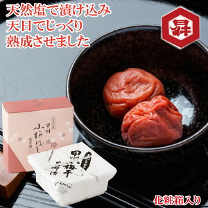 _N[|zz^z~ ~ zЂ~ڂ ϔ Y NHiR yY Ε Mtg 蕨 iR yY Ε Ε Mtg v[g | R o