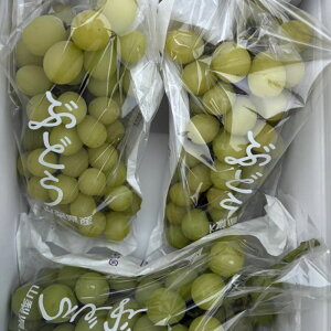 _N[|zz^ RY n@[VC}XJbg 2kg 1 4[ 6[ s FVC   Ԃǂ   ʕ  Yn { H Hi x Â AEg