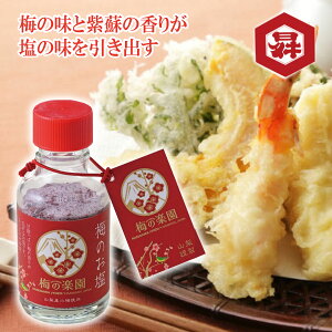 _N[|zz^~̊y umepara bB~ ~̉ 95g 1{ ~ J т̋ ɂ ٓ  yY Ε  ̓ Mtg v[g ~ AvX 