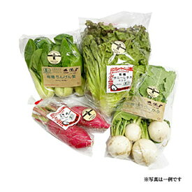 ＼割引クーポン配布／明野ファーム 有機野菜 おまかせ 4種（5月上旬頃〜12月中旬頃まで発送可能） 完熟 山梨県 北杜市 明野町 日照時間 明野九州屋ファーム お土産 お歳暮 お中元 母の日 自社栽培 自社農園 地物野菜 ギフト プレゼント 名水の地 天然水 国産 高原野菜