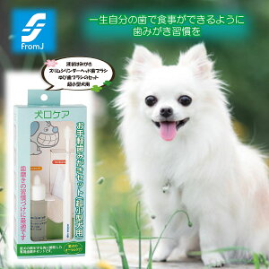 _N[|zz^ PA y݂Zbg ^p ybgpi    Ώ C ^ ^ ^ vdl f^ ^ ` q wTbN w