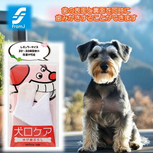 _N[|zz^ PA юԂ炵 M[ ybgpi    Ώ C ^ ^ ^ vdl f^ ^ ` q wTbN wɊ 