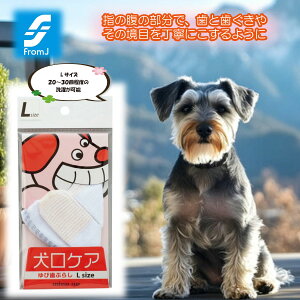 _N[|zz^ PA юԂ炵 LTCY ybgpi    Ώ C ^ ^ ^ vdl f^ ^ ` q wTbN wɊ 