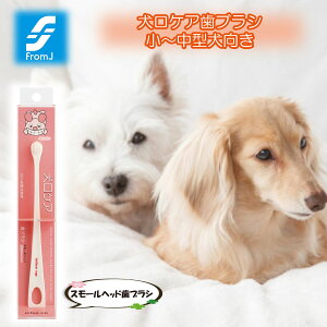 _N[|zz^ PA uV X[wbh ybgpi    Ώ C ^ ^ ^ vdl f^ ^ ` q wTbN wɊ 