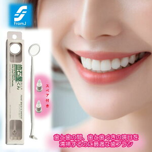 |CguV~[ ̐| vdlXP[[ VRS XeC  j Vu q ObhfUC܎ N[i[ p ZteiX uV 