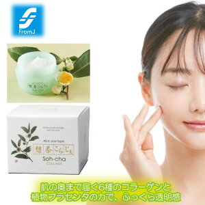 z炶 60g 1{ eWFN[ ϕi AvZ^ t N[ et R[Q p jp Β  JeL  { ÉY L@_@͔| `tGLX 