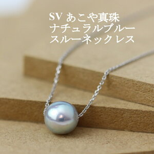 ネックレス ペンダント スルーネックレスの人気商品・通販・価格比較 