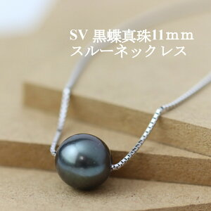  _N[|zz^ SV  ^ X[ lbNX Z~EhVFCv _[NJ[ 㓡 R ΂̊X xmR ÉL n WG[ p[ SV925 xl`A`F