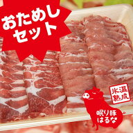＼割引クーポン配布／ 氷温熟成肉 眠り豚はるな しゃぶしゃぶ用お試しセット 400g 1パック 群馬県産 ブラ…