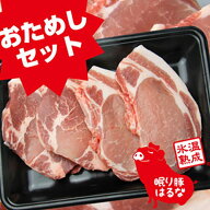 ＼割引クーポン配布／氷温熟成肉 眠り豚はるな ロース 100g 2枚 カタロース 100g 2枚 1パック とんかつ …