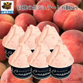 送料無料 テレビ多数紹介 ＼割引クーポン配布／ 白桃 生ジェラート 6個 非加熱 特殊製法 お取り寄せ 限定 山梨 富士山 贈答 食べ比べ イタリアン シェフ監修 フレッシュ 生アイス クール便 お土産 フルーツ イルクルソーレ ソルベ 高級 至高 国産 日本 人気 贈り物 デザート