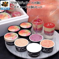 送料無料 ＼割引クーポン配布／ 山梨 生ジェラート 8個 ドポチェーナ 4個 セット 非加熱 特殊製法 お取り…