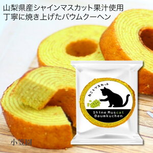 1000~|bL _N[|zz^ ˂ƃ}XJbg 1 Lx LpbP[W  Hׂ VC}XJbg o[N[w  ̉w v[g 蕨 J Ö 