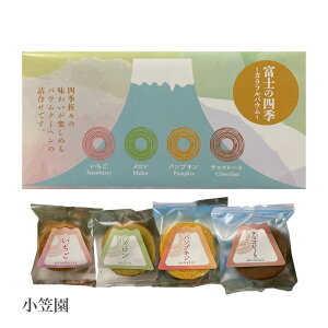 1000~|bL _N[|zz^ xm̎lG JtoE 4 1 Hה VC}XJbg  pvL `R[g 4F o[N[w  ̉w v[g