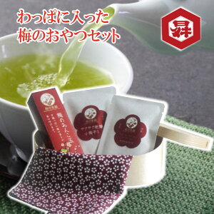 _N[|zz^z~̊y umepara bB~ ς̑蕨 ÐhZbg  i R yY Ε Mtg v[g | R o O 