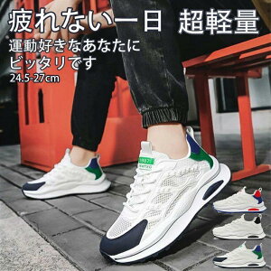 Xj[J[ Xb| Y ₷ ₷ Ȃ RȂ L y   炩 V[Y C