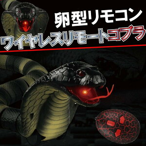 �u�G���g���[�Ń|�C���g10�{ �v�w�r ���W�R�� �������� �a�����v���[���g �j�̎q �n���E�B�� �h�b�L�� �������� �T�v���C�Y ���A�� ��������