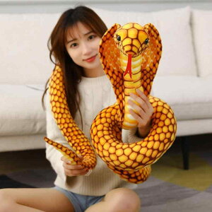 NbV  ӂӂ j̎q ̎q CeA  ʂ l` 킢 xr[ Ԃ q v[g  a Mtg NX}X 蕨 oYj Ru wr 