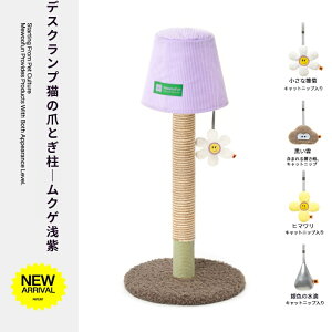 ^lRp XNb`|Xg ȃXy[X Lং蒌 L