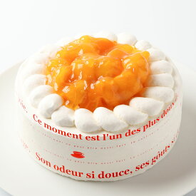 マンゴー デコレーションケーキ フルーツケーキ 誕生日ケーキ ケーキ アップルマンゴー バースデー お祝い 送料無料 ホール