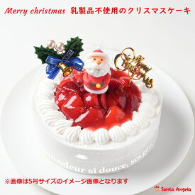 クリスマスケーキ 送料無料 2025年 Xmas 乳製品アレルギー対応クリスマスケーキ クリスマスケーキ Xmasギフト 乳製品不使用デコレーションケーキ クリスマス アレルギーケーキ 乳製品不使用 乳製品除去 乳製品アレルギー 豆乳クリーム 乳不使用ケーキ ホールケーキ