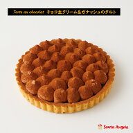 チョコレートケーキ チョコスイーツ SDGs 濃厚 生チョコケーキ 5号 約14cm ケーキ訳ありタルト 訳ありス…