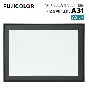 FUJICOLORmtWJ[nA~z A31 A3mr ubN i ubN A3mr PETj
