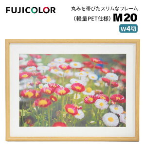 FUJICOLORmtWJ[nؐz M20 Ch4 iCh4 ؐz ؖڒ ؒn Ǌ|Ήj