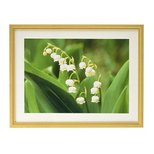 yAEgbgi - ʌzLO ؐz  Ch4 i`