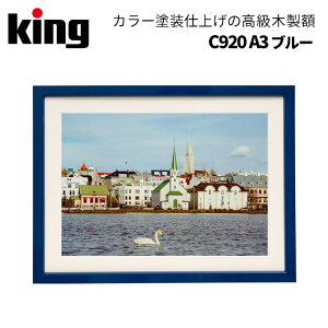 KingmLOnؐz C920 u[ A3 iz ʐ^ G  u[ lCr[j