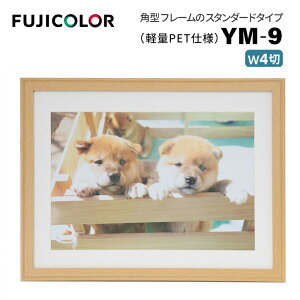 FUJICOLORmtWJ[nؐz YM-9 Ch4 ؒn i ؒn ؖ i` Ch4 PETj