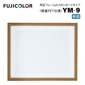 FUJICOLORmtWJ[nؐz YM-9  uE i uE ؖ  PETj