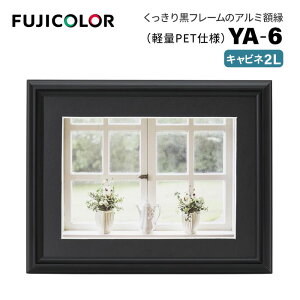 FUJICOLOR�m�t�W�J���[�n�A���~�z�� YA-6 �L���r�l�i2L�j �u���b�N �i�A���~ �t���[�� �V���o�[ �X�^���h�t�� �Ǌ|���Ή��j
