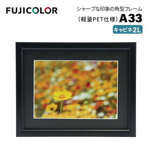 FUJICOLORmtWJ[nA~z A33 Lrli2Lj iLrl 2L VJbg䎆 PETV[gj