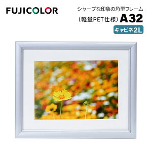 FUJICOLORmtWJ[nA~z A32 Lrli2Lj iLrl 2L VJbg䎆 PETV[gj