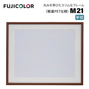 FUJICOLORmtWJ[nؐz M21  i ؐz ؖڒ uE Ǌ|Ήj