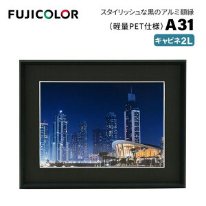 FUJICOLORmtWJ[nA~z A31 Lrli2Lj i ubN Lrl 2L PETj